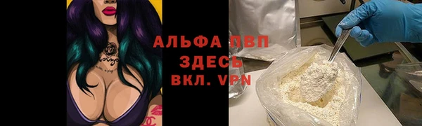 ПСИЛОЦИБИНОВЫЕ ГРИБЫ Дмитров