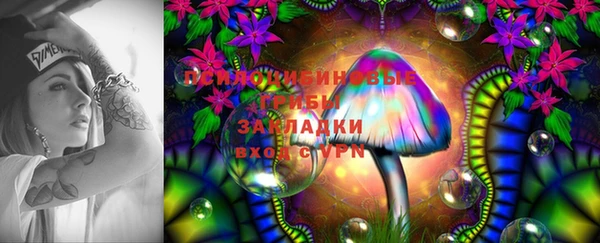 а пвп мука Дмитриев