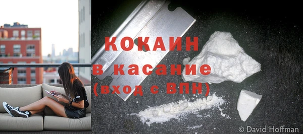 ПСИЛОЦИБИНОВЫЕ ГРИБЫ Дмитров