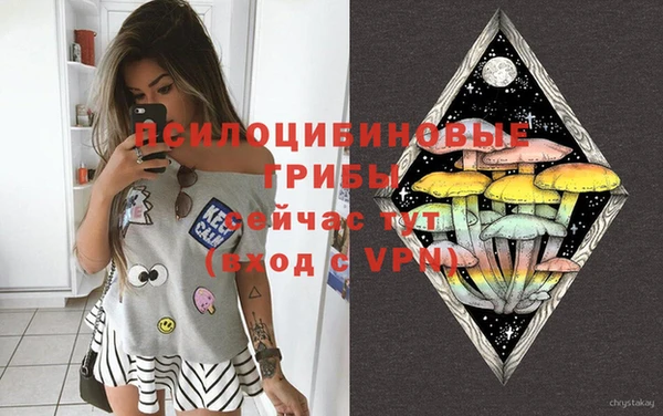 ПСИЛОЦИБИНОВЫЕ ГРИБЫ Дмитров