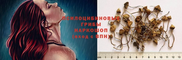 дживик Дмитровск