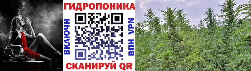 купить наркотики сайты  Коломна  blacksprut ССЫЛКА  Канабис LSD WEED 